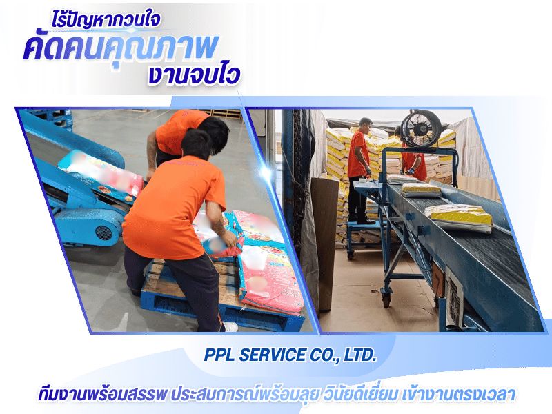 เชี่ยวชาญการคัดสรรและส่งพนักงานผู้ใช้แรงงาน เชี่ยวชาญการคัดสรรและส่งพนักงานผู้ใช้แรงงาน